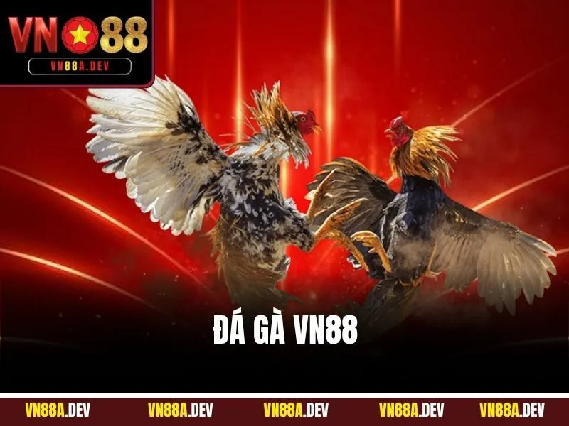 Đá Gà VN88