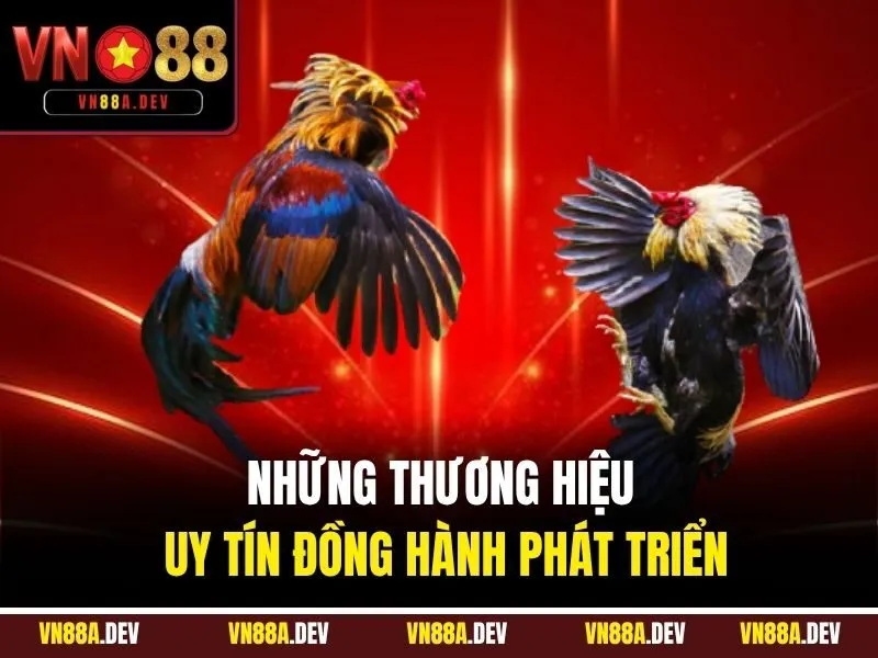 Những thương hiệu uy tín đồng hành phát triển